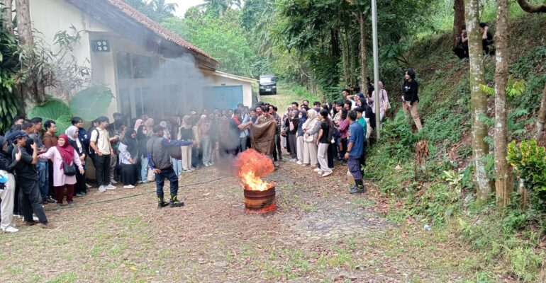 WhatsApp Image 2025-11-27 at 11.22.12