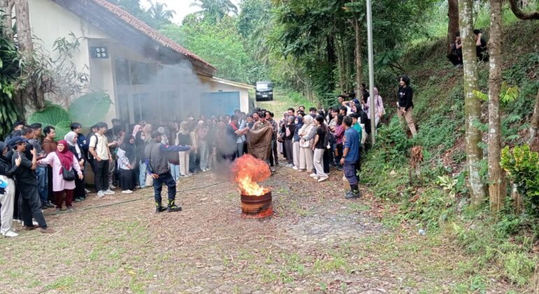 WhatsApp Image 2025-11-27 at 11.22.12